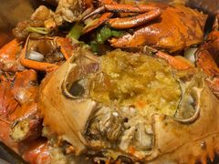 -七欣天香辣蟹火锅(无锡金太湖国际城店)