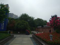 -唐城墙遗址公园