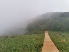 -白草畔自然风景区