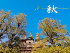 -北京石刻艺术博物馆