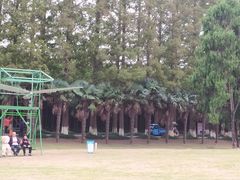 -黄海国家森林公园