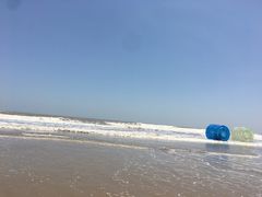 -日照海滨国家森林公园