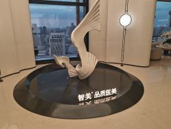 -智美品质医美