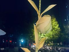 -蝴蝶里·粤菜·点心(龙湖天街&滨江店)