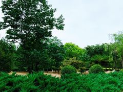 -绿堤公园