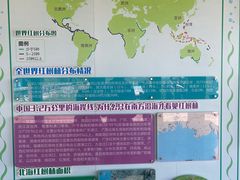 -北海金海湾红树林生态旅游区