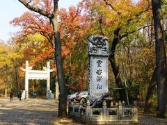 -灵谷景区