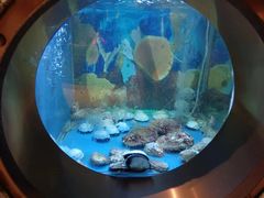 -辉哥火锅(虹桥路店)