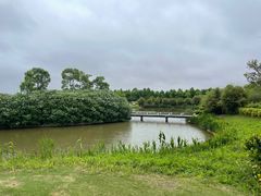 -棕榈滩海景高尔夫俱乐部
