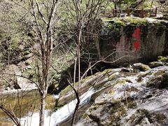 -青峰峡国家森林公园