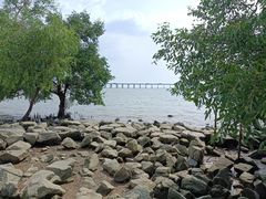 -宝安西湾红树林湿地公园