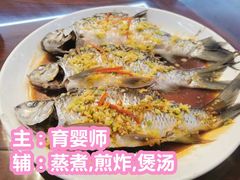-大班家政月嫂育儿嫂(总部店)
