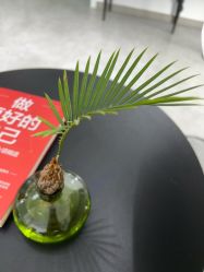 -原生美学·SMP3D纹发·纹野生眉