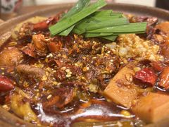 砂锅油泼毛血旺-罗妈砂锅(四川成都奎星楼店)