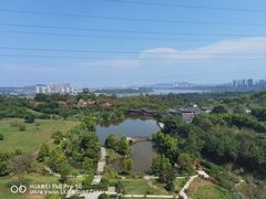 -张坝桂圆林公园