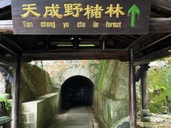 -富春桃源风景区