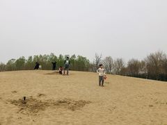 -东郊湿地公园