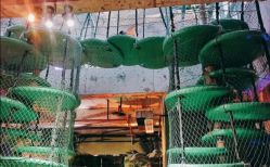 -恐龙探索乐园(磁器口店)