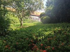 -三亚海棠湾万丽度假酒店