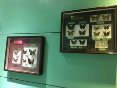 -上海昆虫博物馆