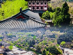 -华清宫景区