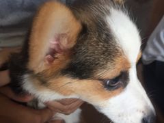 -FullHouse桌游跑团血染剧本杀(南京西路店)