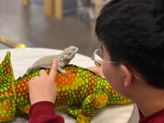 -FAIRYLAND龙族星球主题餐厅(凯丹广场店)