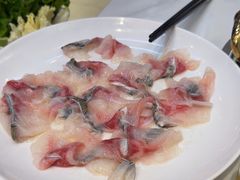 -港升鱼师傅·中山脆肉鲩