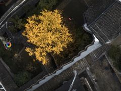 -无锡惠山寺