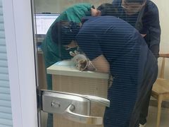 -全心全意连锁动物医院·微创中心·内科急重症·心脏专科(丰管路店)