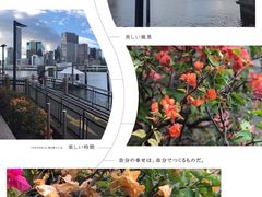 -布里斯班南岸公园