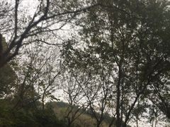 -天目湖涵田半山温泉