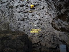 -北京周口店北京人遗址博物馆