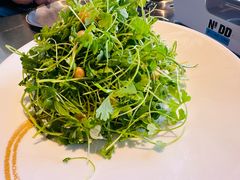 -No.DD戳子烧烤·江湖菜(北京总店)