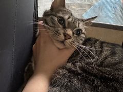 -美美宠物诊疗中心·异宠·骨科(滨江东信分院)