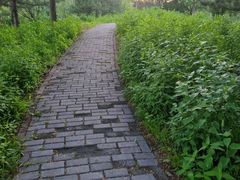 -望湖公园