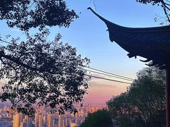 -惠山国家森林公园