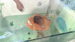 -千禧果月子会所(郑州东站店)