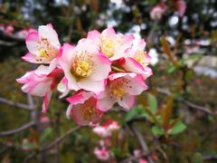 -白塘生态植物园