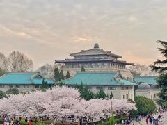 -武汉大学-樱园