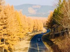 -塞罕坝国家级自然保护区