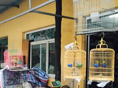 -保定市花鸟鱼虫市场