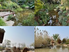 -祥源·阜阳生态乐园