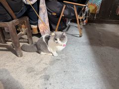 -车溪民俗旅游区