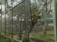 -成都动物园