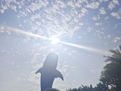 -珠海长隆海洋王国