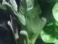 -江和美海洋公园