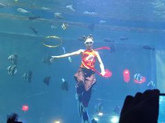 -鄂尔多斯野生动物园