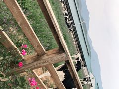 -君乐宝优致牧场