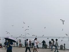 -星海湾跨海大桥